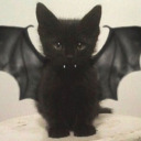 vampire-cat-of-darkness