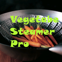 vegetablesteamerpro-blog