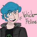 vehicle-feline