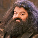 very-hairy-wizard