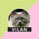 vilan-pet-products