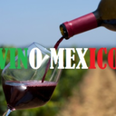 vinomexico-blog