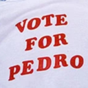 votedpedro