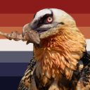 vultures-traumagenic-flag