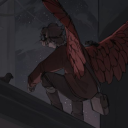 watcher--bird