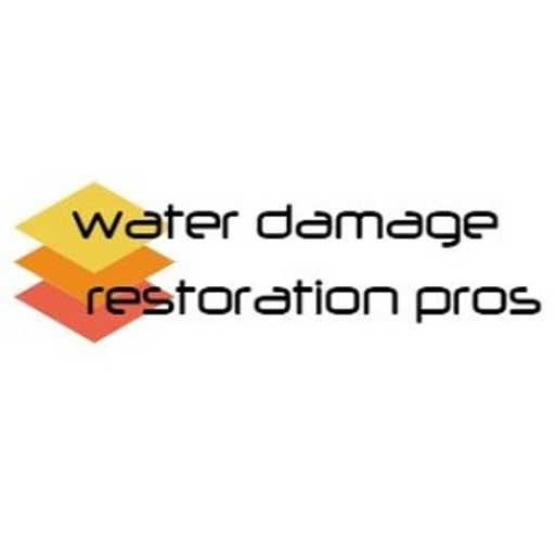 waterdamagerestorationpros’s profile image