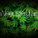 weedstergram