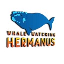 whalewatchinghermanusco-blog
