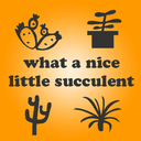 whatanicelittlesucculent