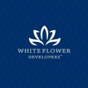 whiteflower-01