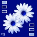 whiteflower122