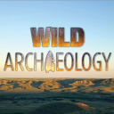 wildarchaeology