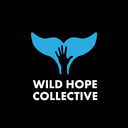 wildhopecollective-blog