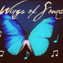 wings-of-sound-blog