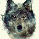 wolf-345-blog