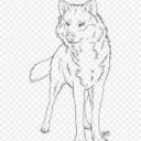 wolf-creature--anon