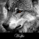 wolfie407