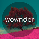 wownder1-blog