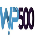 wperror500