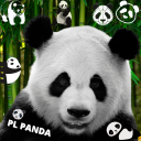 writer-panda