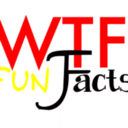 wtf-fun-factss
