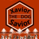 xavior-thedog-savior