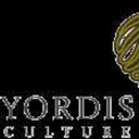 yordis-blog1