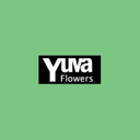 yuvaflowersonline-blog